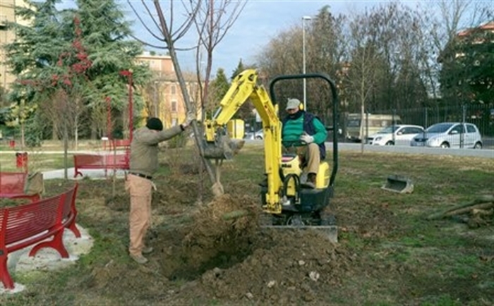 Foto piantumazione